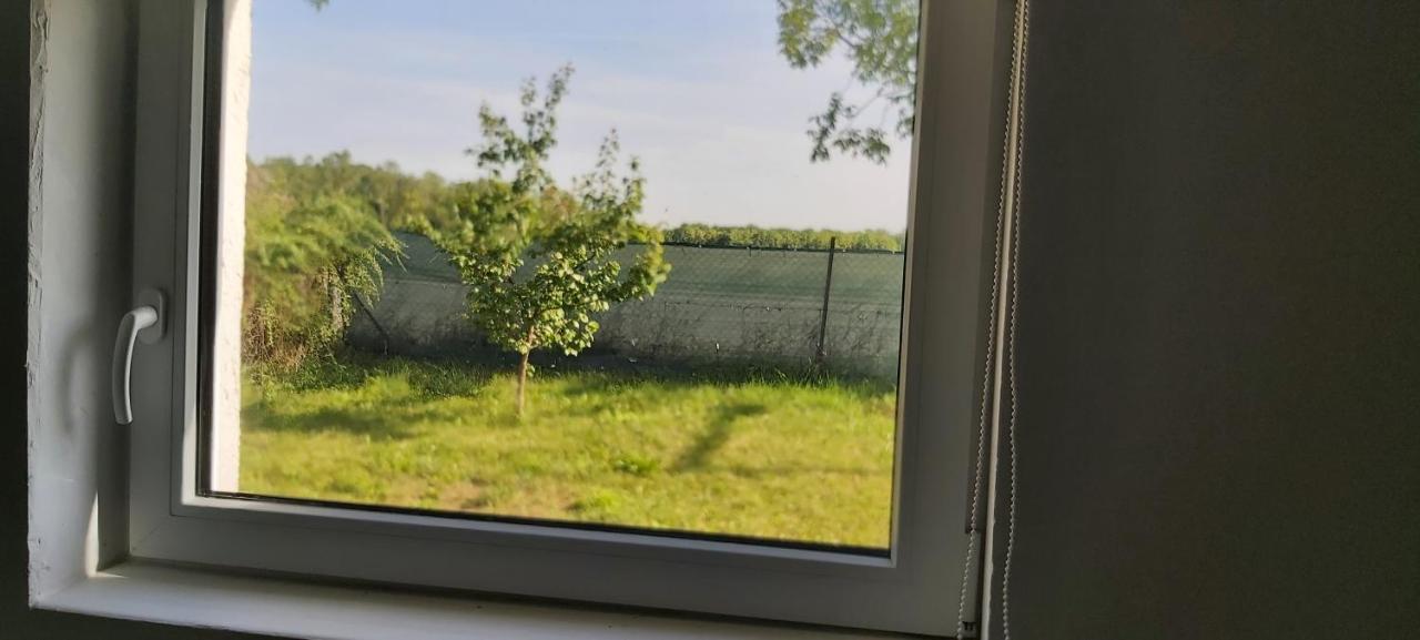 Kleinwohnung Mk-Smart Wina Bagian luar foto